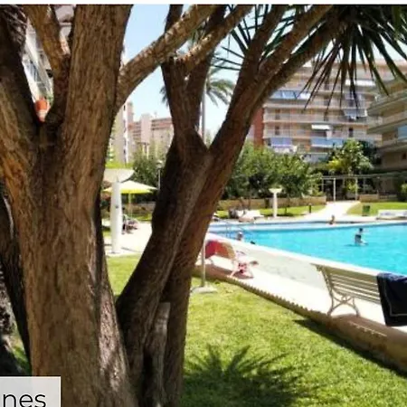 Entero En La Playa San Juan Benacantil Accommodatie bij particulieren Alicante