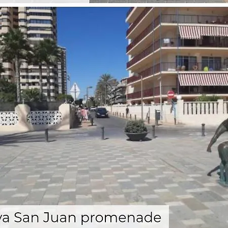 Entero En La Playa San Juan Benacantil * Alicante