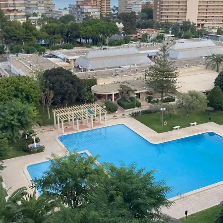 Entero En La Playa San Juan Benacantil * Alicante