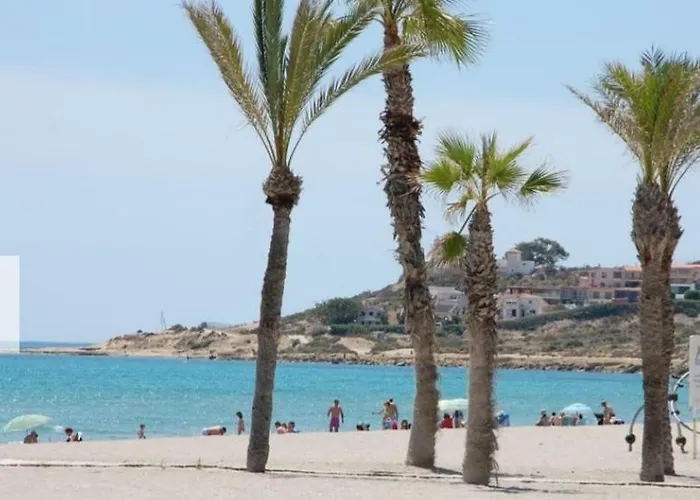 Entero En La Playa San Juan Benacantil *